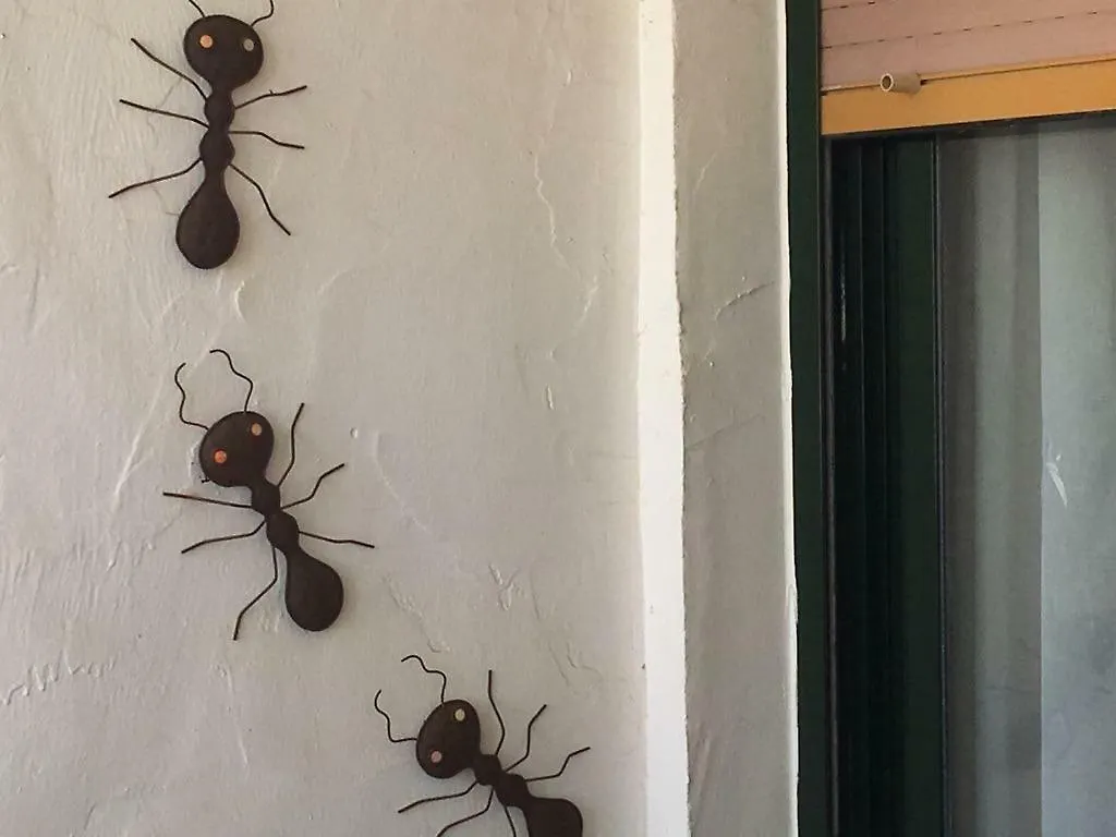 Lägenhet Bonito Apartamento En Zahara De Los Atunes